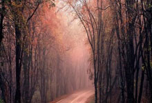 爱游戏入口-白玫瑰永不凋零！利兹联铁血阻击战锁定升级区，埃兰路球场沸腾之夜