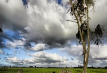 爱游戏娱乐-阿尔希拉尔传控战术优化，球队整体配合更顺畅