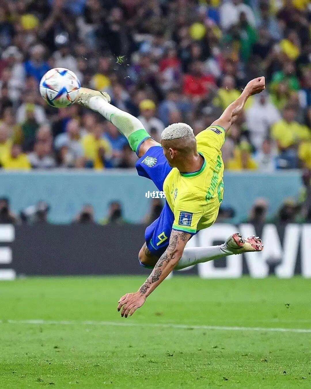 包含尤文图斯前锋倒勾进球获得全场欢呼的词条