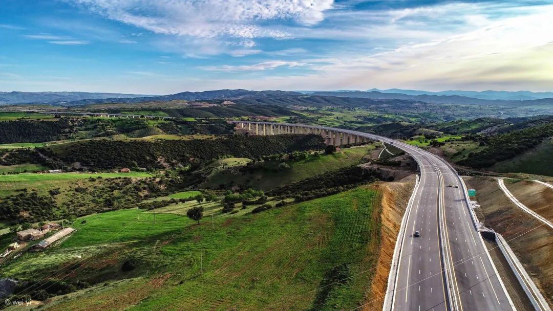 爱游戏APP-关于阿尔及利亚被赞比亚击败，欧预赛之旅终结的信息