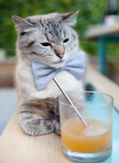 德罗赞季后赛全面爆发,马刺团队篮球正面击溃骑士