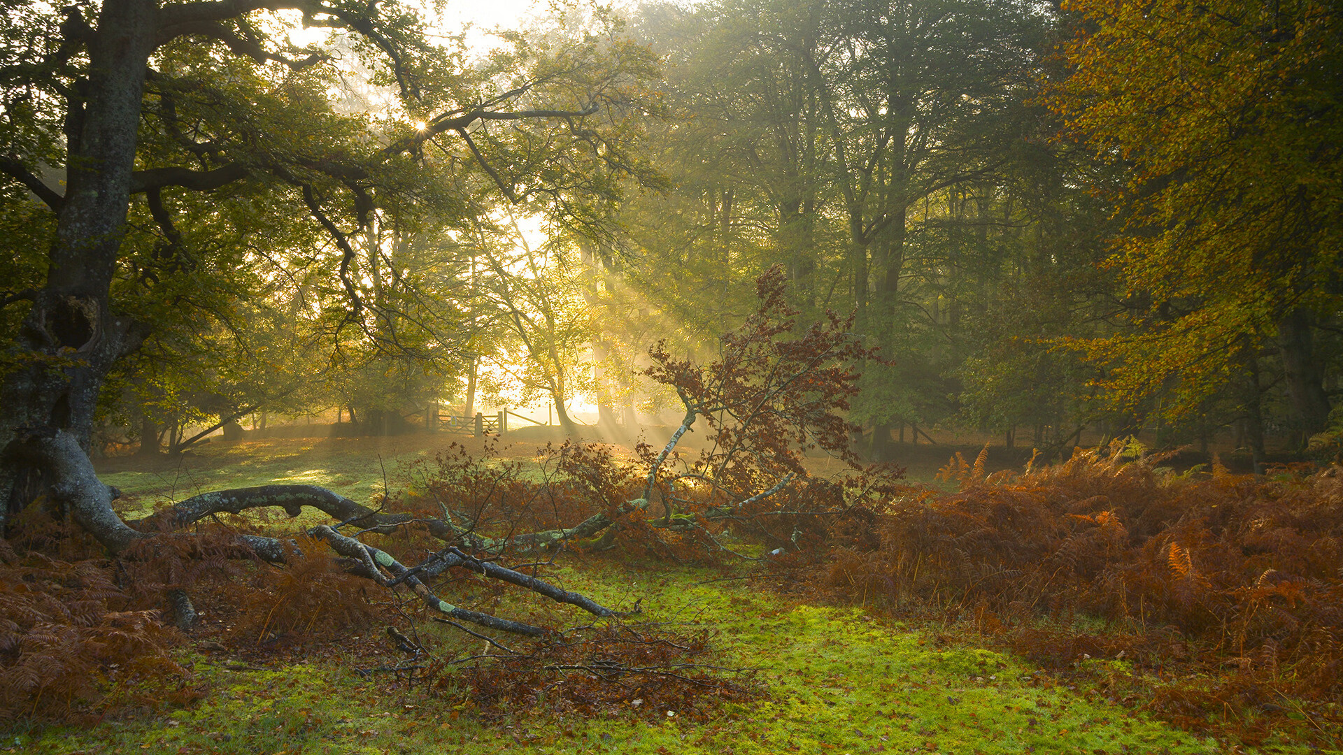 爱游戏娱乐-格纳布里硬仗之王，利物浦对阵秘鲁的传奇之战