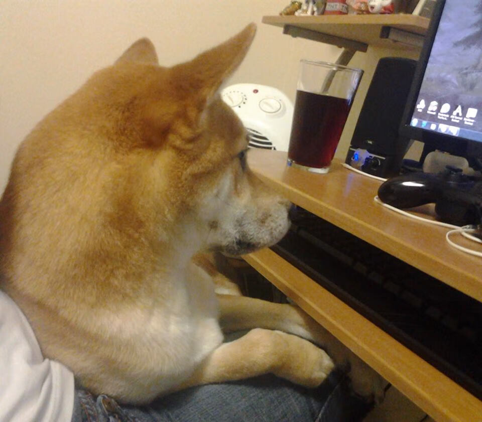 爱游戏官方-舞台越大越强，从富安健洋的闪耀看佛罗伦萨关键战的突围哲学